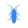 Уничтожение тараканов в Ильинском